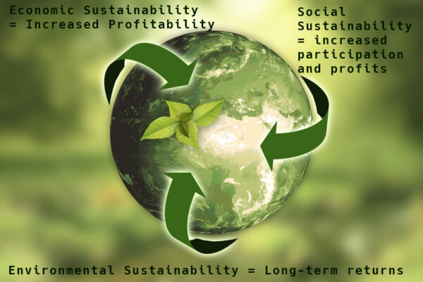 Investments And Returns In Systemic Sustainability